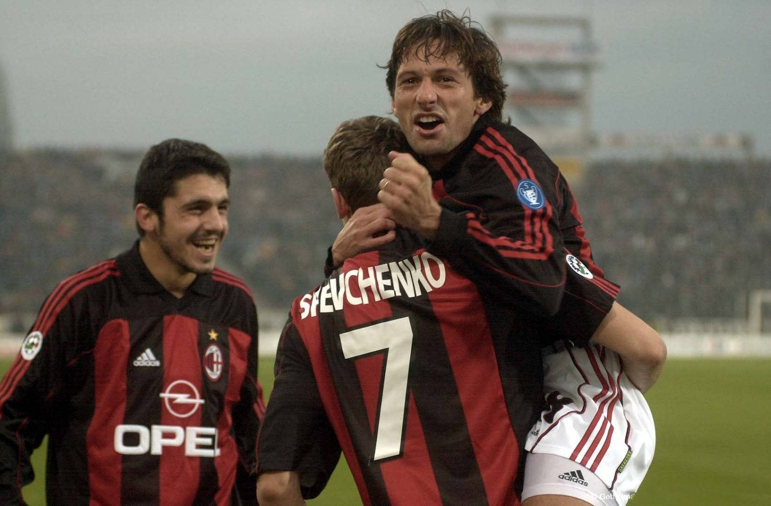 以其独特的 以其独特的